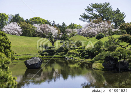 春の熊本県の観光地水前寺公園に咲く桜と成趣園の風景 春の熊本県の観光地水前寺公園に咲く桜と成趣園の風景 64394625