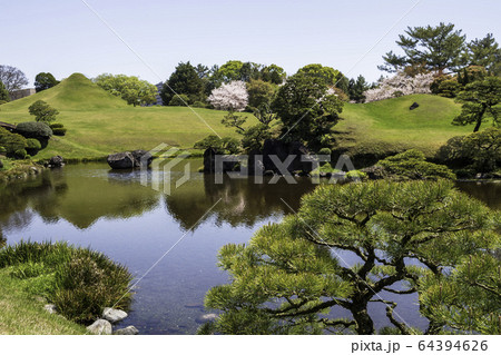 春の熊本県の観光地水前寺公園に咲く桜と成趣園の風景 春の熊本県の観光地水前寺公園に咲く桜と成趣園の風景 64394626