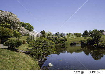 春の熊本県の観光地水前寺公園に咲く桜と成趣園の風景 春の熊本県の観光地水前寺公園に咲く桜と成趣園の風景 64394628