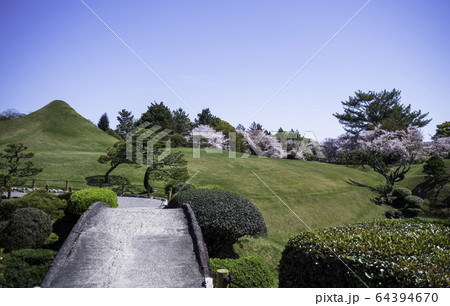 春の熊本県の観光地水前寺公園に咲く桜と成趣園の風景 64394670