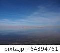 ～チリ、アタカマ～アタカマ塩湖の絶景 64394761