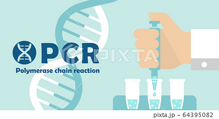 Pcr検査 バナーイラスト 新型コロナウイルス Covid 19のイラスト素材