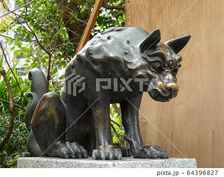 稲毛神社の狛犬 川崎市 川崎区 64396827