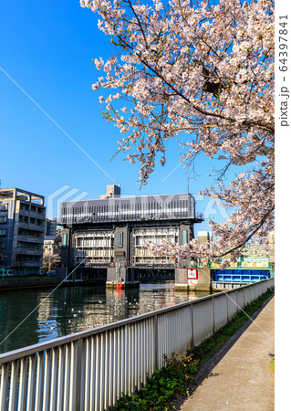 東京・江東区・小名木川の桜 64397841