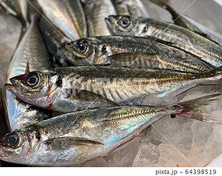 真あじ１ 64398519