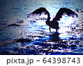 白鳥　ブルー発進 64398743