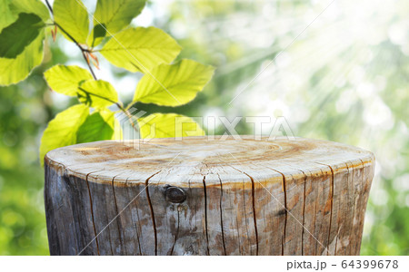 Trunk Trunk 64399678