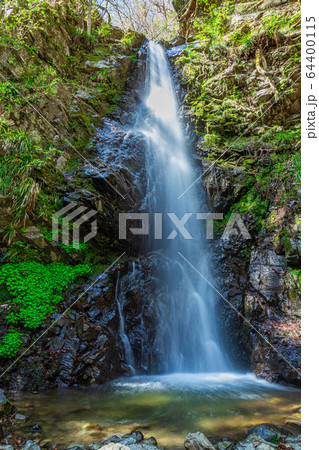 龍神の滝　春景 64400115