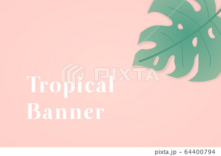 Monstera leaf in the corner of pink backdrop. Monstera leaf in the corner of pink backdrop. 64400794