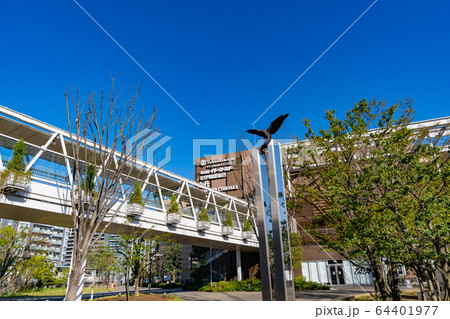 流山おおたかの森駅前風景 南口<千葉県流山市2020年4月> 流山おおたかの森駅前風景 南口<千葉県流山市2020年4月> 64401977
