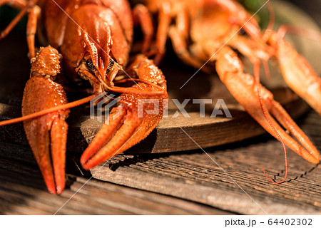 Boiled crayfish on rustic wooden background close-up Boiled crayfish on rustic wooden background close-up 64402302