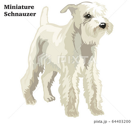 Colored decorative standing portrait of Miniature 64403200