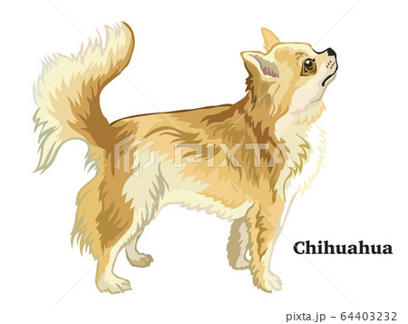 Colored decorative standing portrait of  64403232