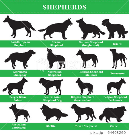 Vector shepherds silhouettes 64403260