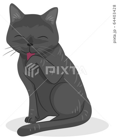 Cat Pet Self Grooming Illustrationのイラスト素材