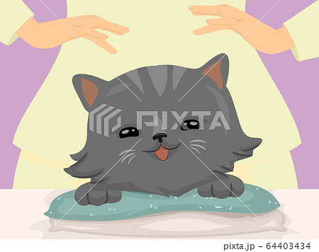 Cat Hand Reiki Massage Illustration Cat Hand Reiki Massage Illustration 64403434