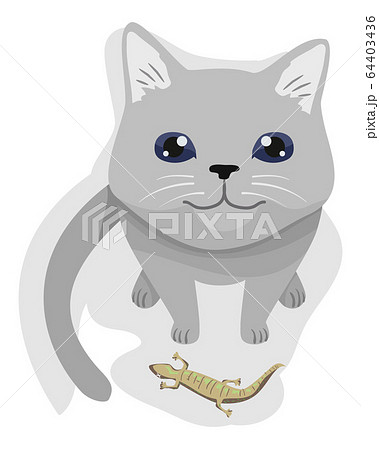 Cat Pet Gift Lizard Illustration Cat Pet Gift Lizard Illustration 64403436