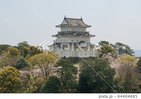 小田原城 小田原城 64404685