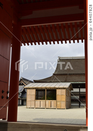 京都御所　紫宸殿　右近の橘 64407828