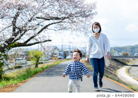 桜の花見をする親子　散歩 64408060