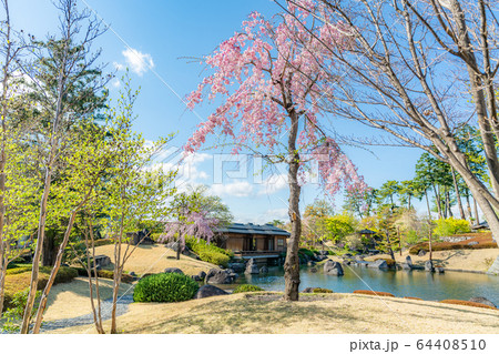 群馬県前橋 臨江閣庭園の風景 64408510