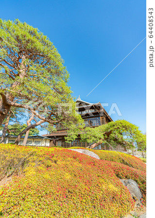 日本の春 群馬県前橋 臨江閣と桜の風景 64408543