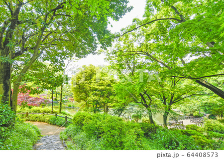 有栖川宮記念公園 有栖川宮記念公園 64408573