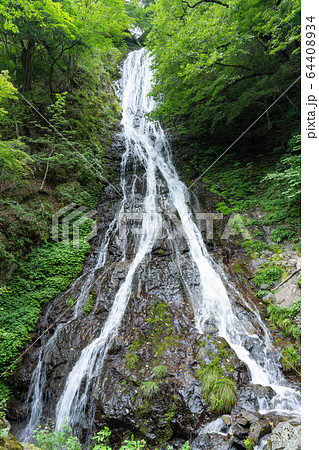 埼玉県秩父郡小鹿野町 丸神の滝 (8月) 埼玉県秩父郡小鹿野町 丸神の滝 (8月) 64408934