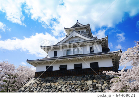 長浜市 長浜城歴史博物館 天守閣 桜 豊公園の写真素材