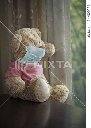 bear is looking 64409086