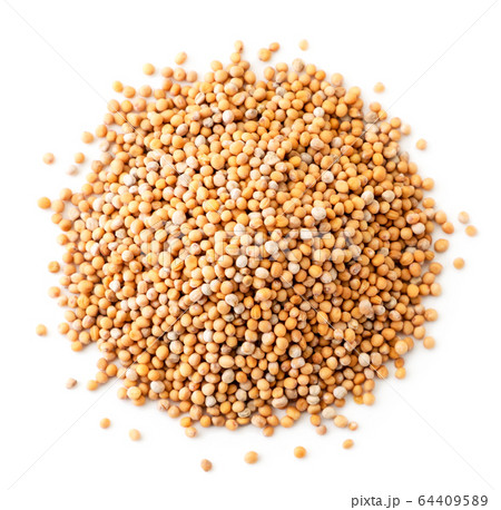 A pile of mustard seeds on a white isolated. The A pile of mustard seeds on a white isolated. The 64409589