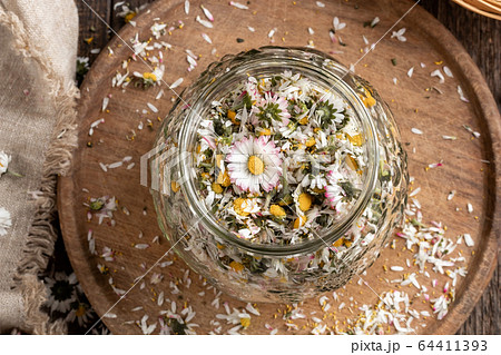 Preparation of common daisy syrup from fresh common daisy flowers 64411393