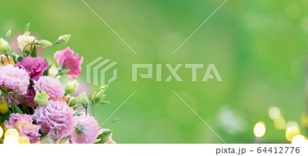fresh rose flowers fresh rose flowers 64412776