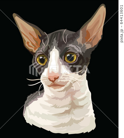 Colorful vector cat 6 64413601