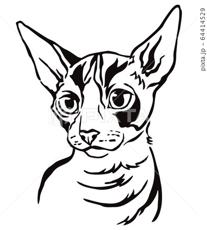 Decorative portrait of Cat 4 Decorative portrait of Cat 4 64414529