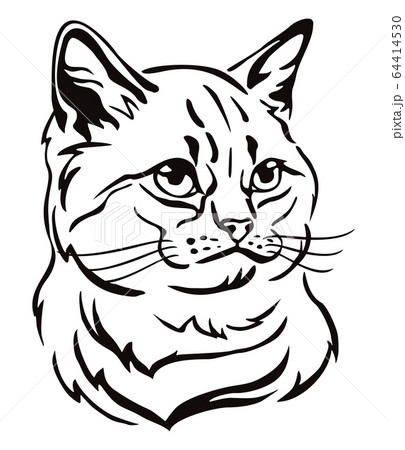 Decorative portrait of Cat 1 Decorative portrait of Cat 1 64414530