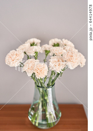 beautiful carnation flowers in a vase on a wooden table . Bouquet of pink flower. Decoration of home. Wallpaper and background. beautiful carnation flowers in a vase on a wooden table . Bouquet of pink flower. Decoration of home. Wallpaper and background. 64414978
