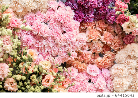 Floral carpet or Wallpaper. Background of mix of flowers. Beautiful flower for catalog or online store. Floral shop and delivery concept. Top view. Copy space 64415043