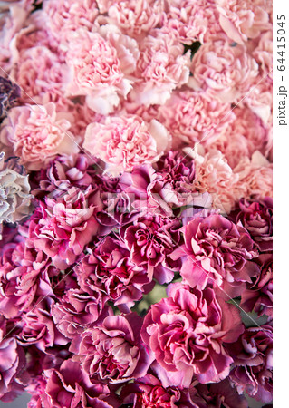 Closeup Bunches of carnation flowers different varieties in vases. Lovely Vintage background with flowers. Wallpapers. 64415045