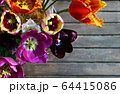 Colorful spring tulip flowers bouquet on grey 64415086