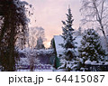 Winter garden landscape 64415087