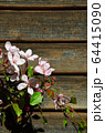 Apple tree flowers on wooden background 64415090