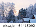 Winter forest landscape2 64415092