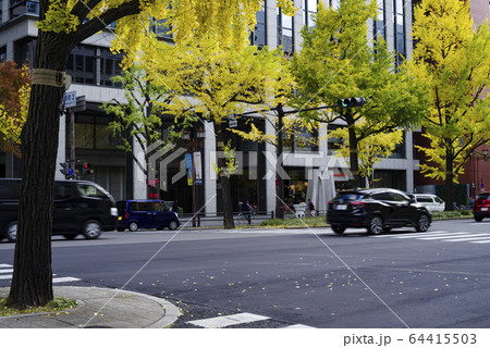 大阪・御堂筋の色づく銀杏並木と街並み 大阪・御堂筋の色づく銀杏並木と街並み 64415503