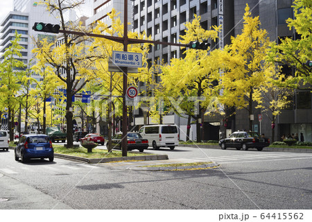 大阪・秋の御堂筋の色づく銀杏並木と街並み 64415562