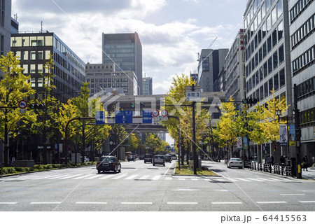 大阪市本町・色づく秋の銀杏並木と本町周辺の街並み 大阪市本町・色づく秋の銀杏並木と本町周辺の街並み 64415563