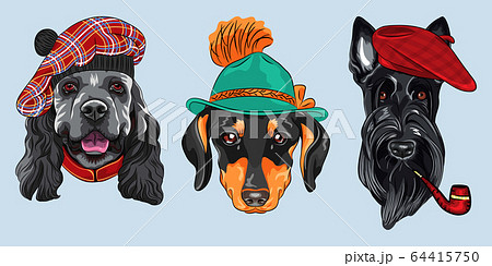 vector Set 2 cartoon hipster dogs 64415750