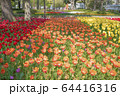 横浜公園（横浜市中区） 64416316