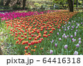横浜公園（横浜市中区） 64416318