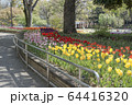 横浜公園（横浜市中区） 64416320